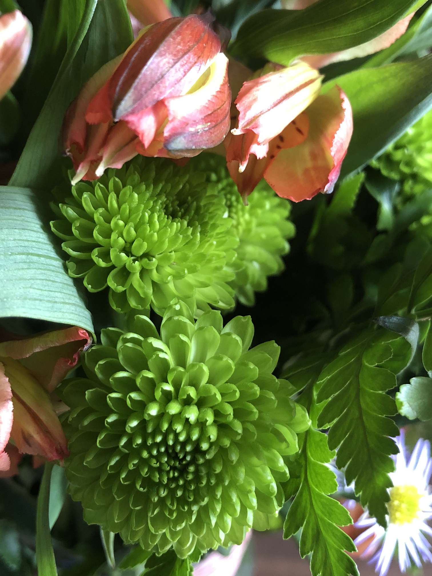 Love The Texture.jpg