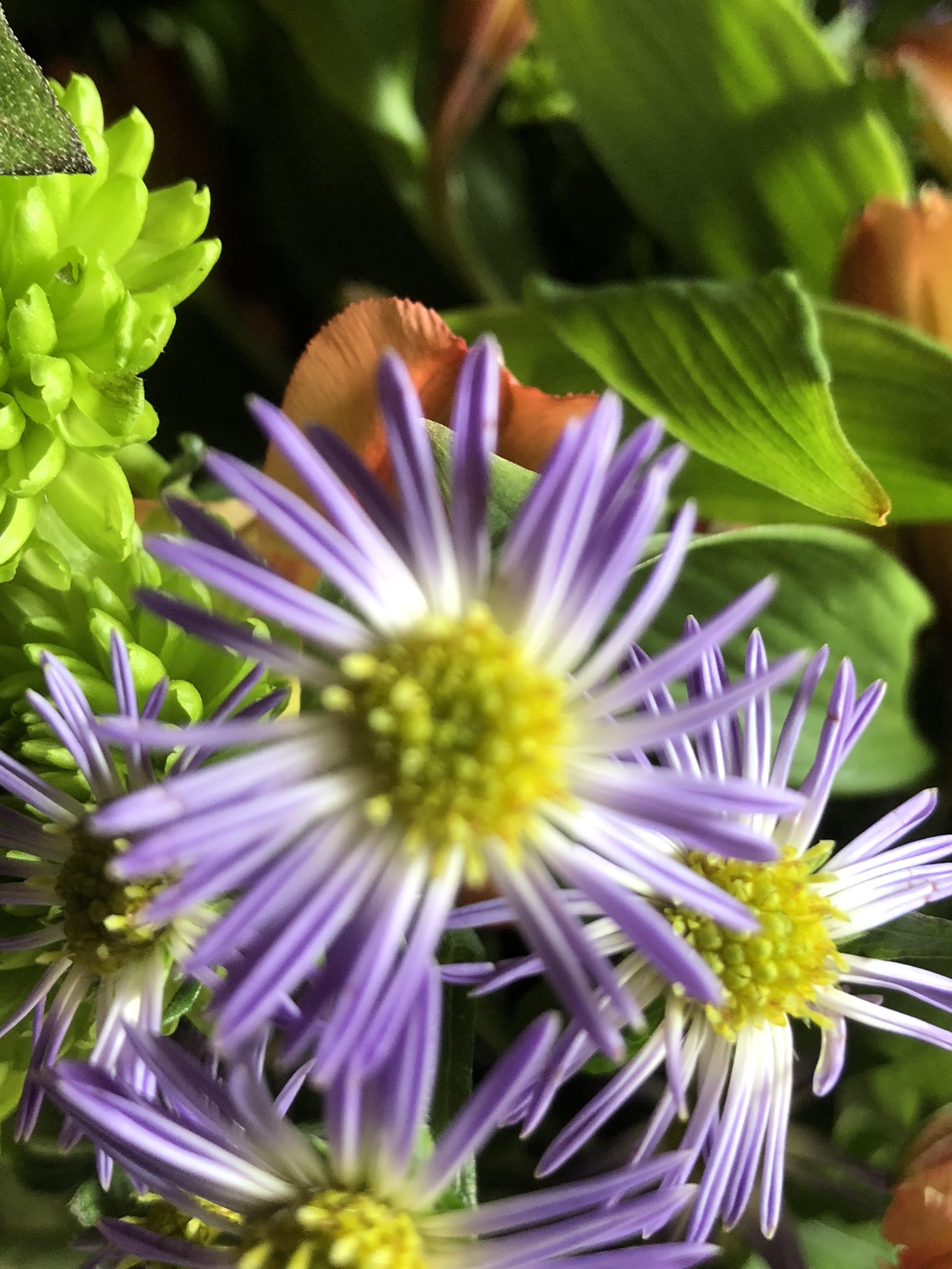 More Beautiful Texture.jpg