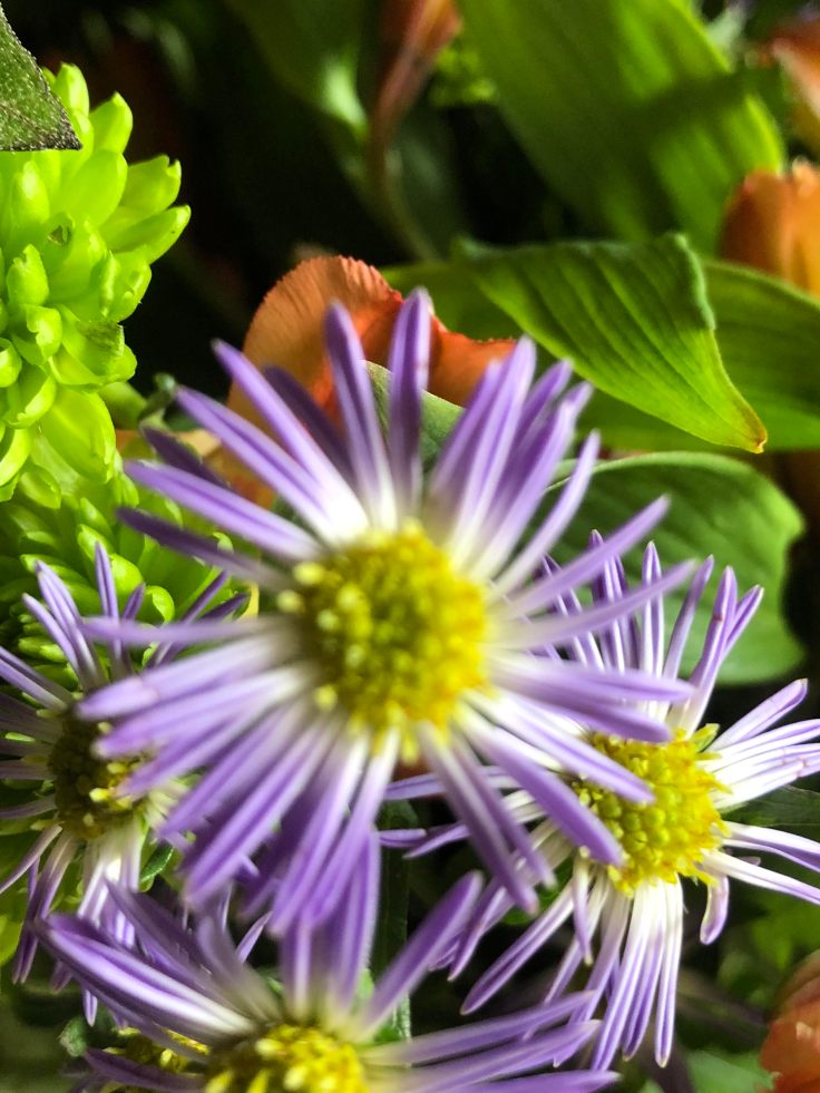 More Beautiful Texture.jpg