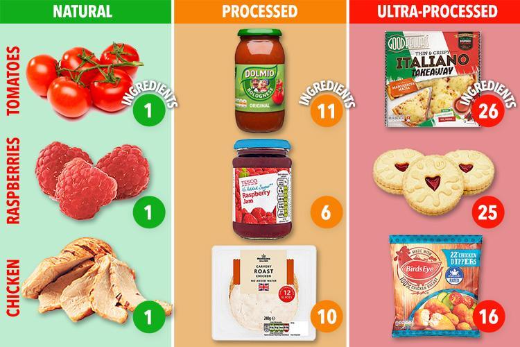 Fresh Processed Ultra Processed