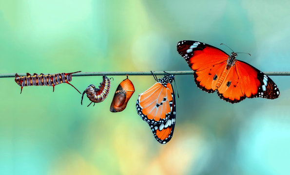 In God’s World, Transitions Are Invitations – Notes from Alex